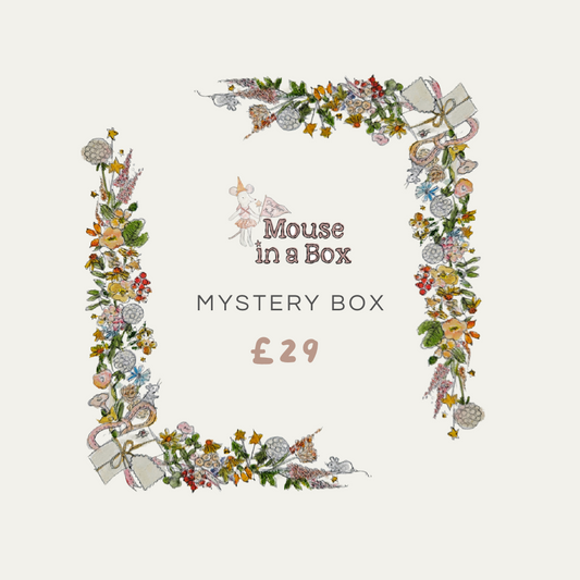 Maileg Mystery Box £29