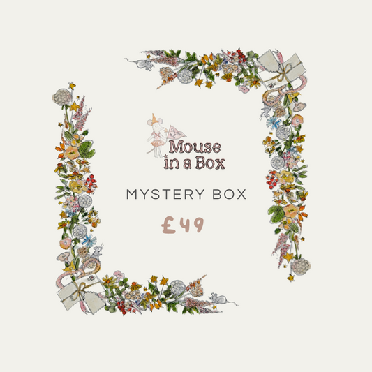 Maileg Mystery Box £49